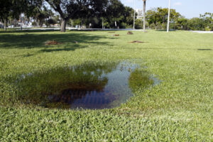 Sewer Backup Resulting in Pool of Water Forming in Grassy Field