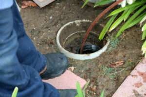 Plumber Standing Adjacent to Drain in Ground Opened for Clean Out