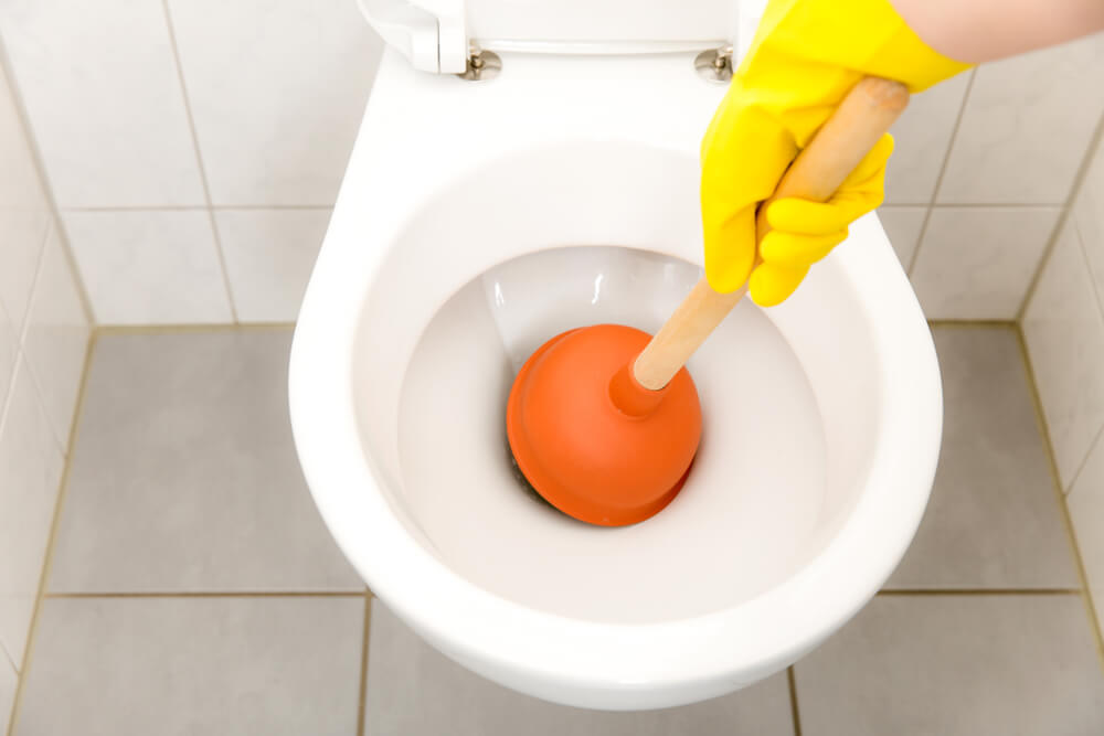 What to do about a clogged toilet